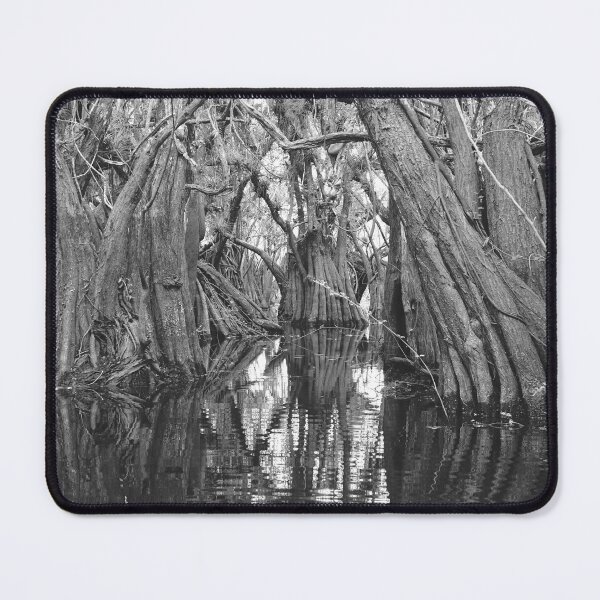 Item preview, Mexico Stunning Nature - Flooded Forest in Black and White designed and sold by CarolinaReina.