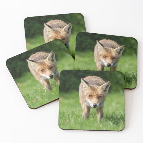 Item preview, Fox staring at you designed and sold by Alex Sharp.