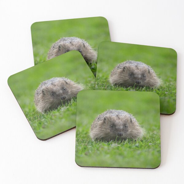 Item preview, hedgehog walking towards you in the grass designed and sold by Alex Sharp.