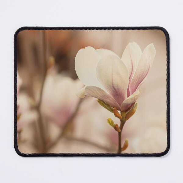 Item preview, Magnolia, photography. designed and sold by Beabue.