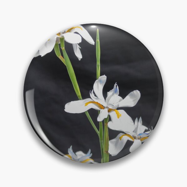 Item preview, African Iris Morea Dietes X210 designed and sold by RichFrancoCars.