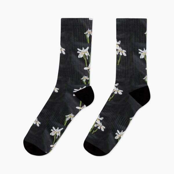 Item preview, African Iris Morea Dietes X210 designed and sold by RichFrancoCars.