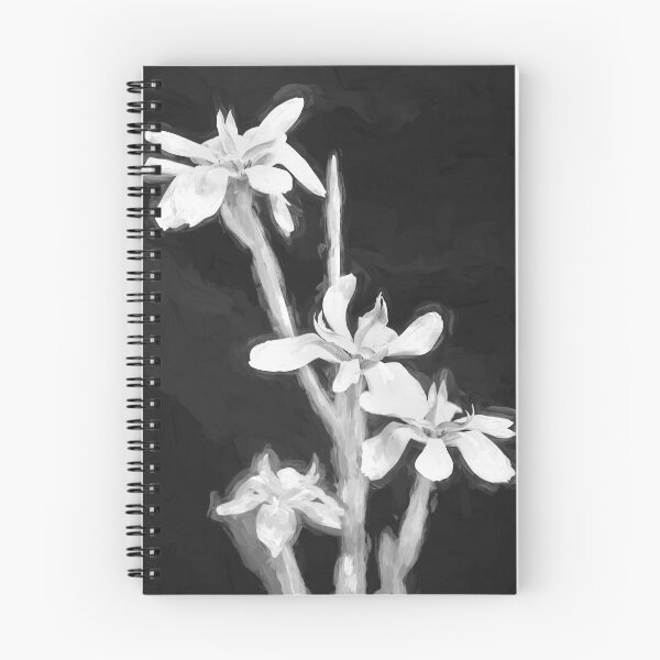 Item preview, African Iris Morea Dietes X211 designed and sold by RichFrancoCars.
