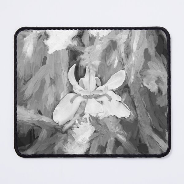 Item preview, African Iris Morea Dietes X213 designed and sold by RichFrancoCars.