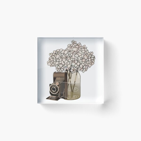 Item preview, Vintage camera with flowers designed and sold by Artistkhg.