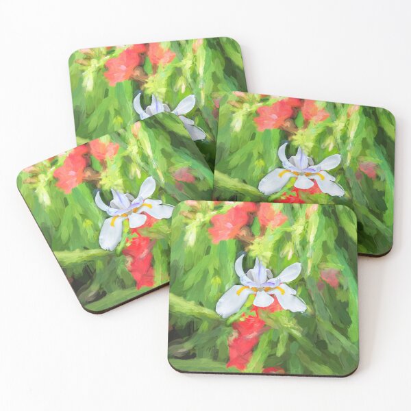 Item preview, African Iris Morea Dietes X216 designed and sold by RichFrancoCars.