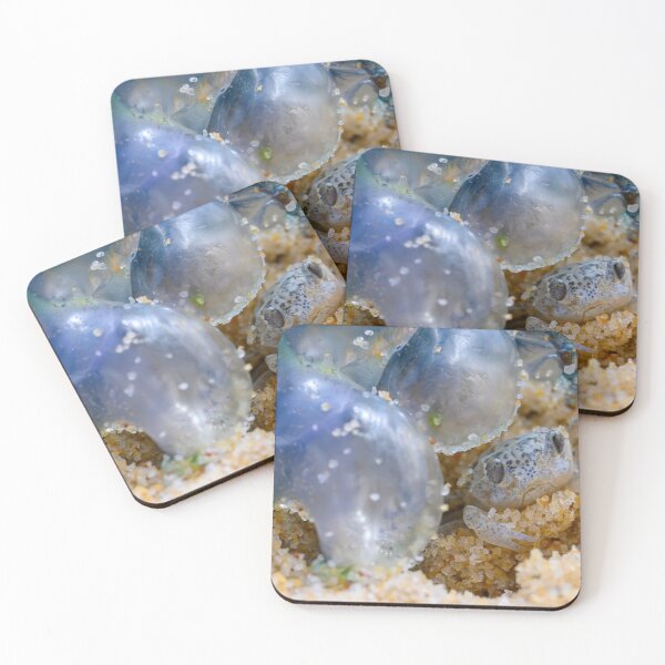 Item preview, Baby Crab  designed and sold by Adrian Alford Photography.