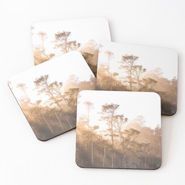 Item preview, Coastal Tree Photography designed and sold by Amanda Abel.