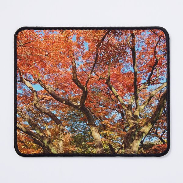 Item preview, Japanese Garden Fall Foliage Autumn Leaves in Japan designed and sold by TalBright.