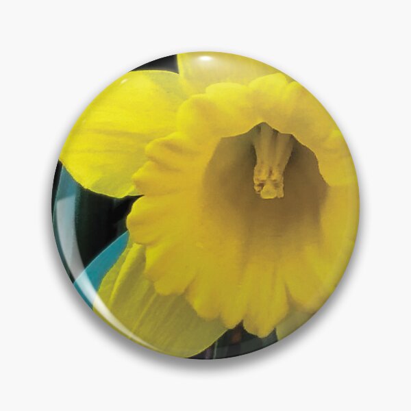 Item preview, Daffodil designed and sold by PSCSCo.