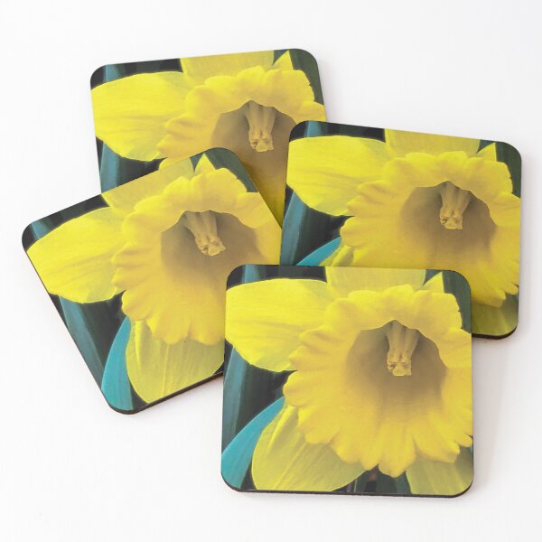 Item preview, Daffodil designed and sold by PSCSCo.