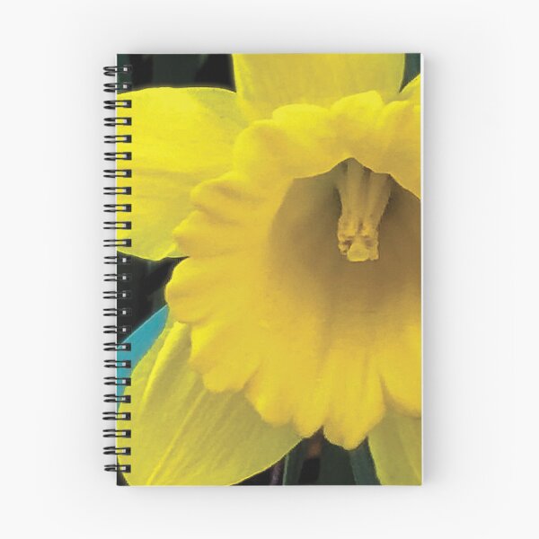 Item preview, Daffodil designed and sold by PSCSCo.