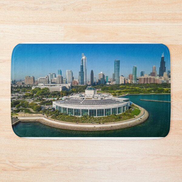 Item preview, Shedd Aquarium + Skyline designed and sold by FlyChi708.
