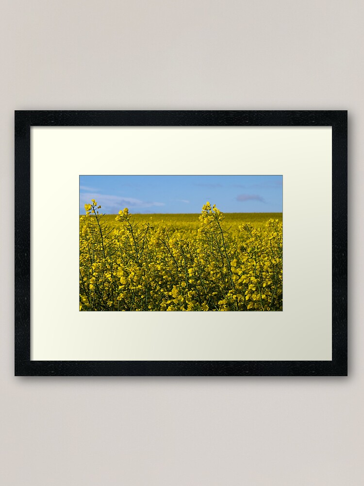 Alternate view of Yellow Framed Art Print