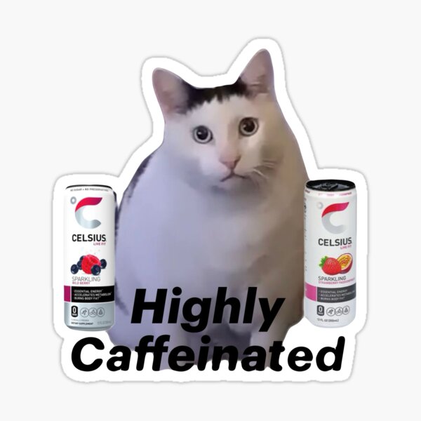 Artikel-Vorschau von Celsius, stark koffeinhaltige fette Katze, designt und verkauft von brendaesmee.