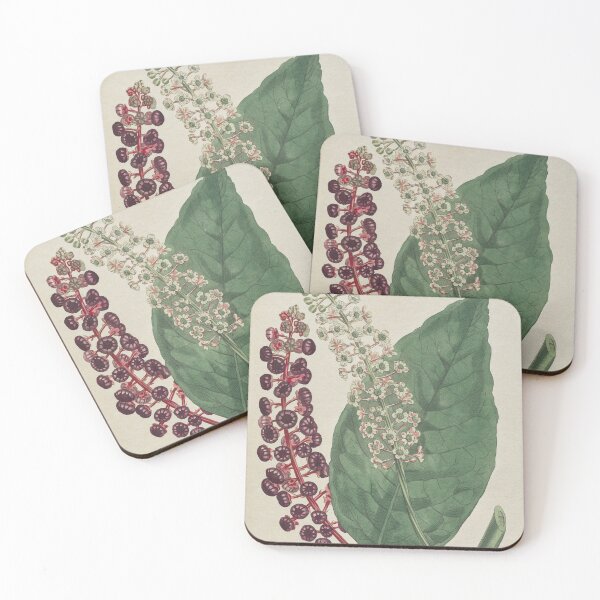 Item preview, Phytolacca americana designed and sold by 19th Century in Color.
