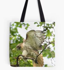 Red-tailed Hark Landing Tote Bag