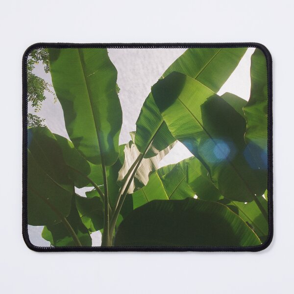 Item preview, Banana Leaves Under Southern Sunlight designed and sold by kissmyrebelle.