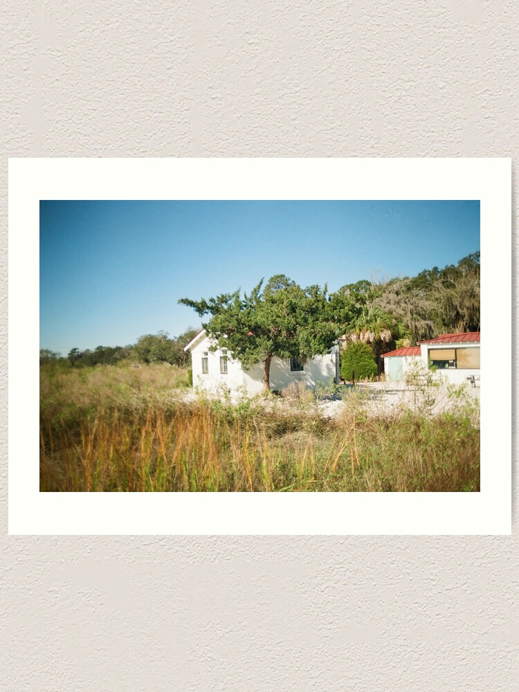 Thumbnail 1 of 3, Art Print, Lowcountry Serenity in Savannah’s Pin Point designed and sold by kissmyrebelle.