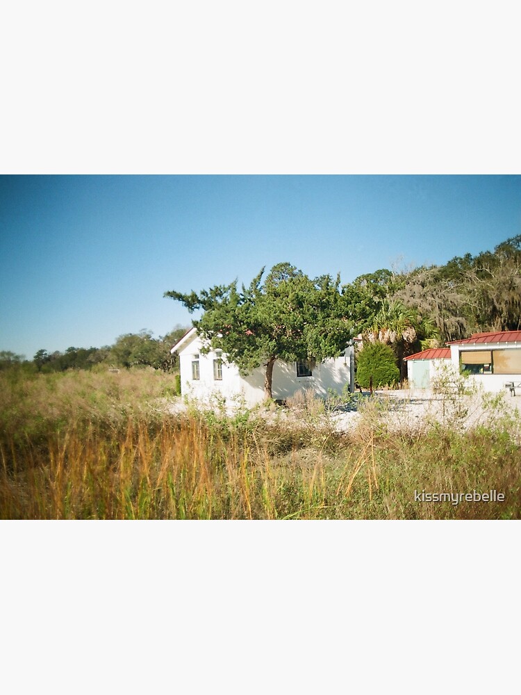 Thumbnail 3 of 3, Art Print, Lowcountry Serenity in Savannah’s Pin Point designed and sold by kissmyrebelle.