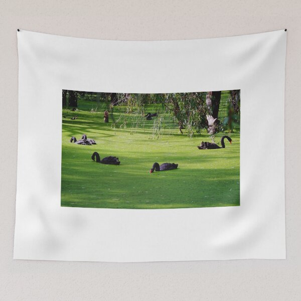 Item preview, Swans Feeding  designed and sold by D-GaP.