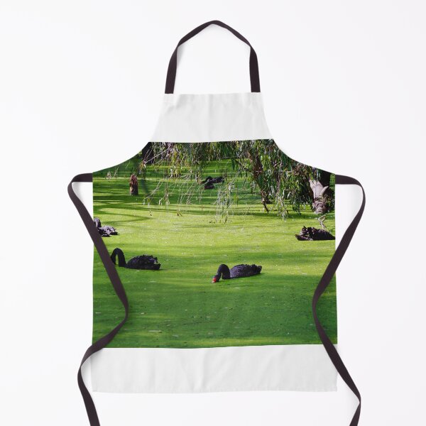Item preview, Swans Feeding designed and sold by D-GaP.