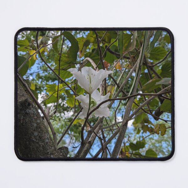 Item preview, In Bloom designed and sold by AlphaDeltas.