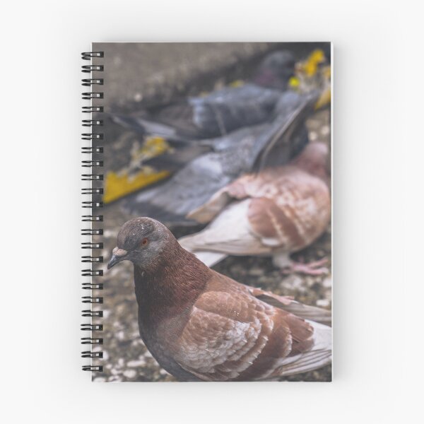 Item preview, Pidge designed and sold by eidetic-storage.