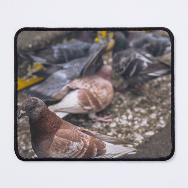Item preview, Pidge designed and sold by eidetic-storage.