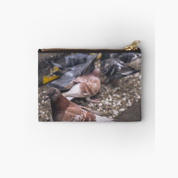 Item preview, Pidge designed and sold by eidetic-storage.
