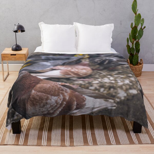 Item preview, Pidge designed and sold by eidetic-storage.
