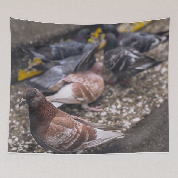Item preview, Pidge designed and sold by eidetic-storage.