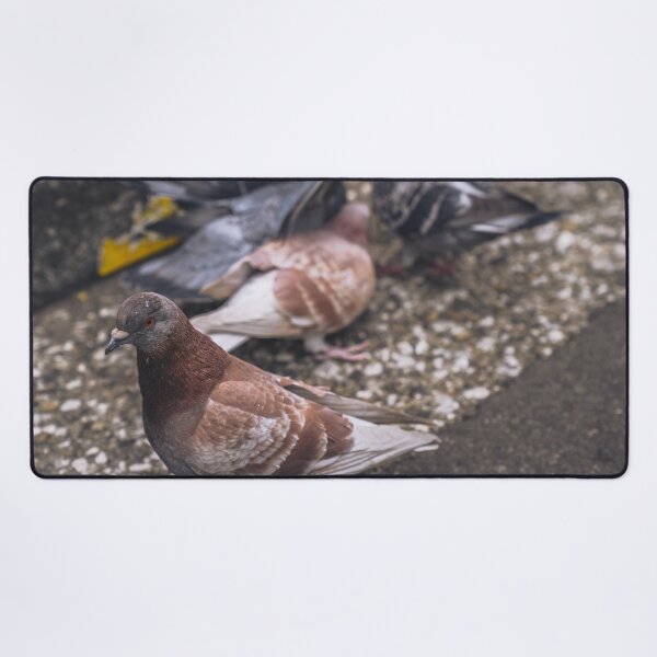 Item preview, Pidge designed and sold by eidetic-storage.