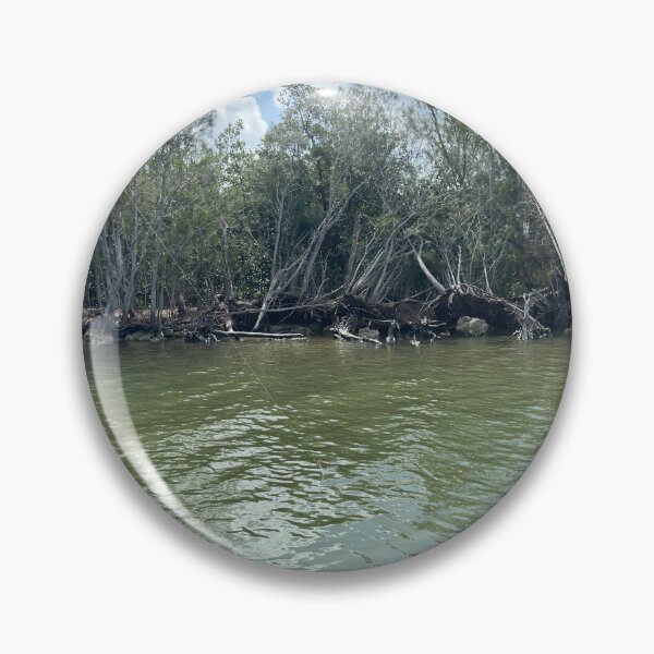 Item preview, The Australian Pines of Haulover Canal designed and sold by Easley-Does-It.