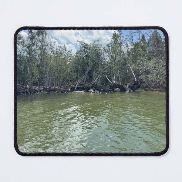 Item preview, The Australian Pines of Haulover Canal designed and sold by Easley-Does-It.
