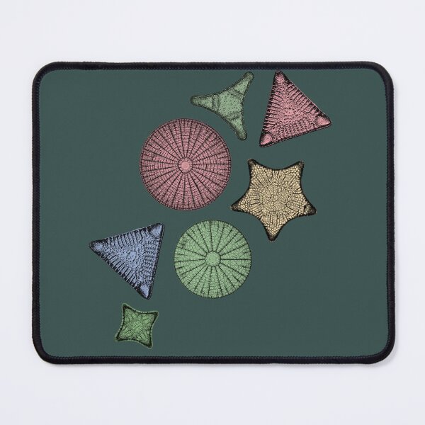 Item preview, Diatoms - Marine Biology Art designed and sold by StephJChild.