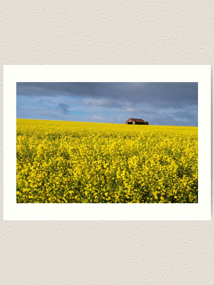 Alternate view of Barn Art Print