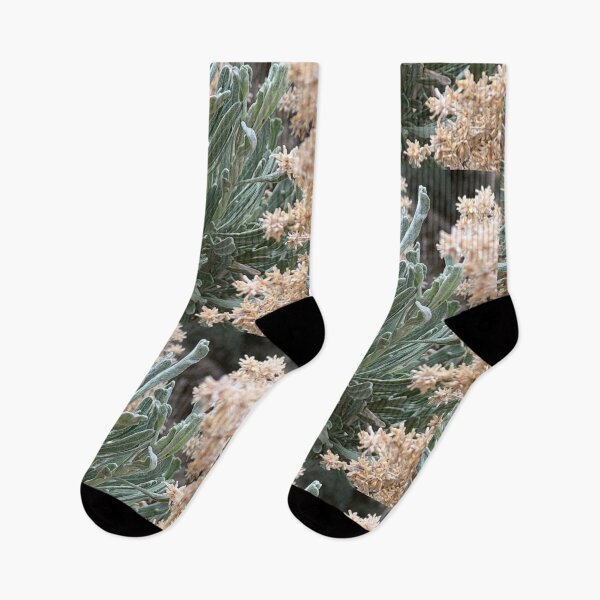 Item preview, Desert Plants designed and sold by Betsy Phillips.