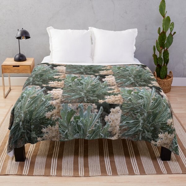 Item preview, Desert Plants designed and sold by Betsy Phillips.