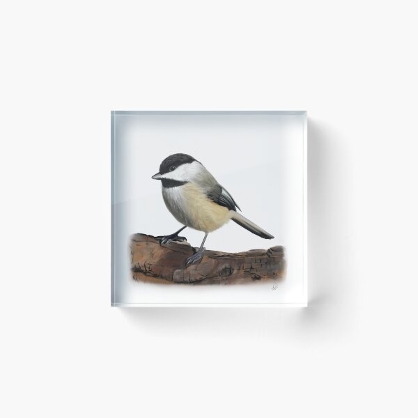 Item preview, Carolina Chickadee - Colored designed and sold by Sirenia Designs.