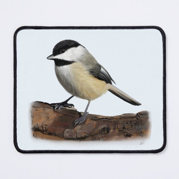 Item preview, Carolina Chickadee - Colored designed and sold by Sirenia Designs.