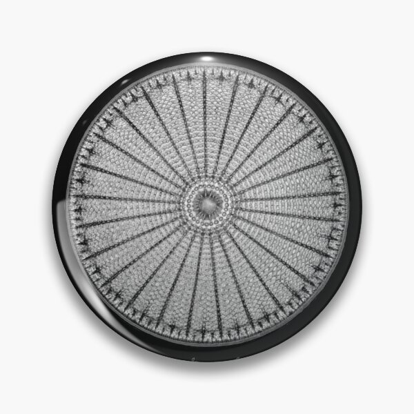 Item preview, Beautiful Diatoms - Arachnoidiscus ehrenbergii designed and sold by StephJChild.