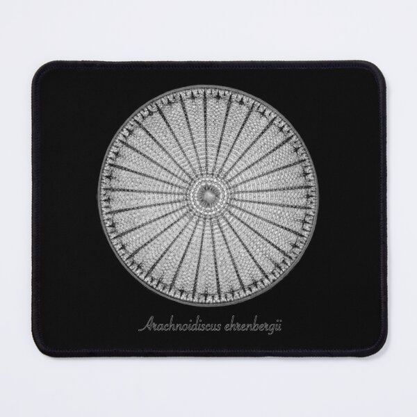 Item preview, Beautiful Diatoms - Arachnoidiscus ehrenbergii designed and sold by StephJChild.