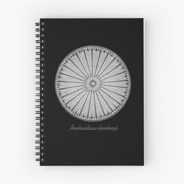 Item preview, Beautiful Diatoms - Arachnoidiscus ehrenbergii designed and sold by StephJChild.