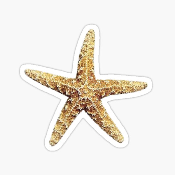 Item preview, orange seastar  designed and sold by spiralcassete.