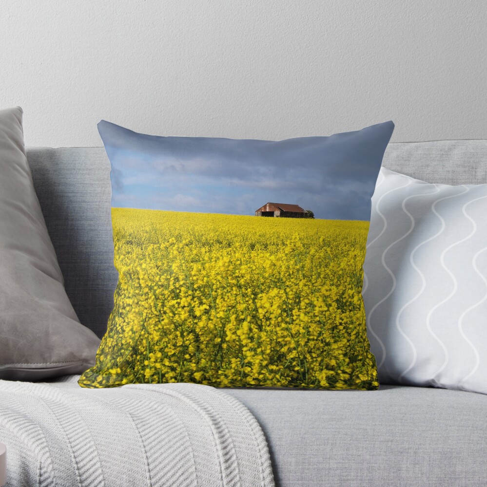 Barn Throw Pillow