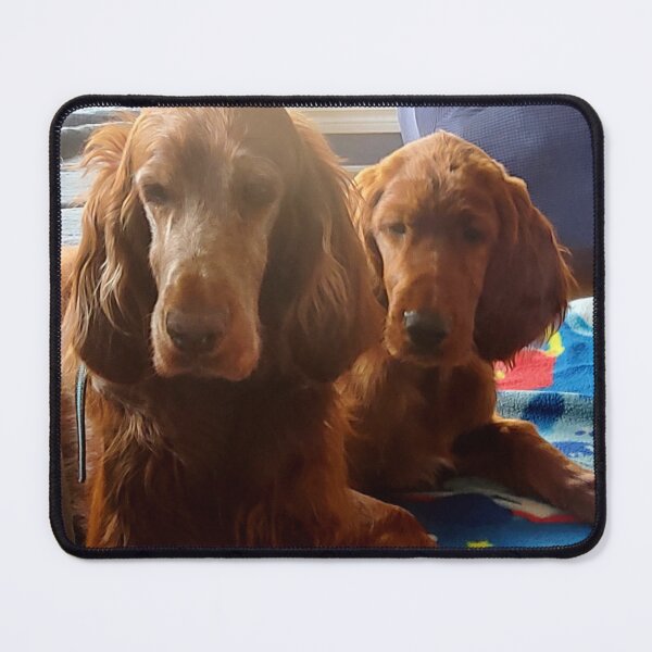 Item preview, Mother and Daughter Irish Setters designed and sold by Mythen.