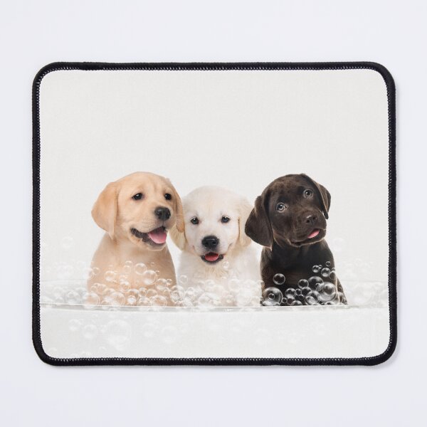 Item preview, Three Puppies in Bathtub, Neutral Print, Puppy Bathing, Animals in Bathtub Art by Synplus designed and sold by synplus.