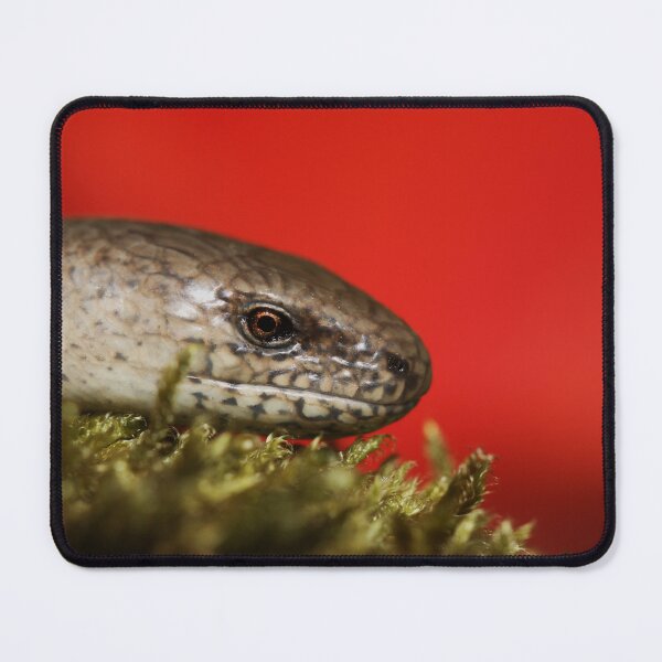 Item preview, Slow worm - Anguis fragilis designed and sold by Christian Moss.