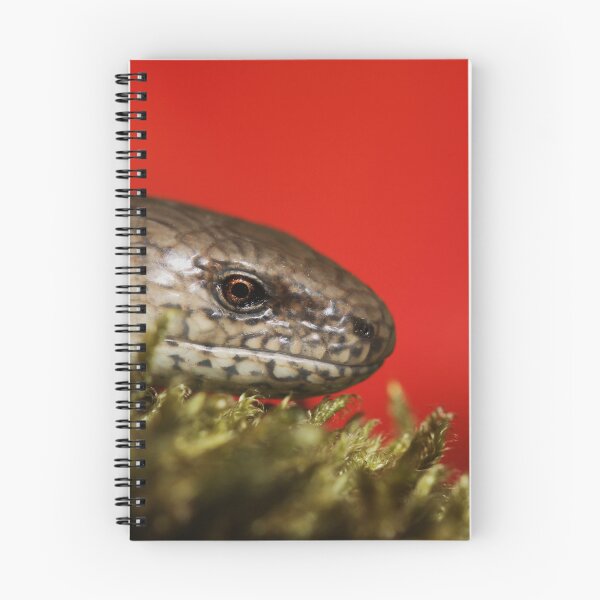 Item preview, Slow worm - Anguis fragilis designed and sold by Christian Moss.